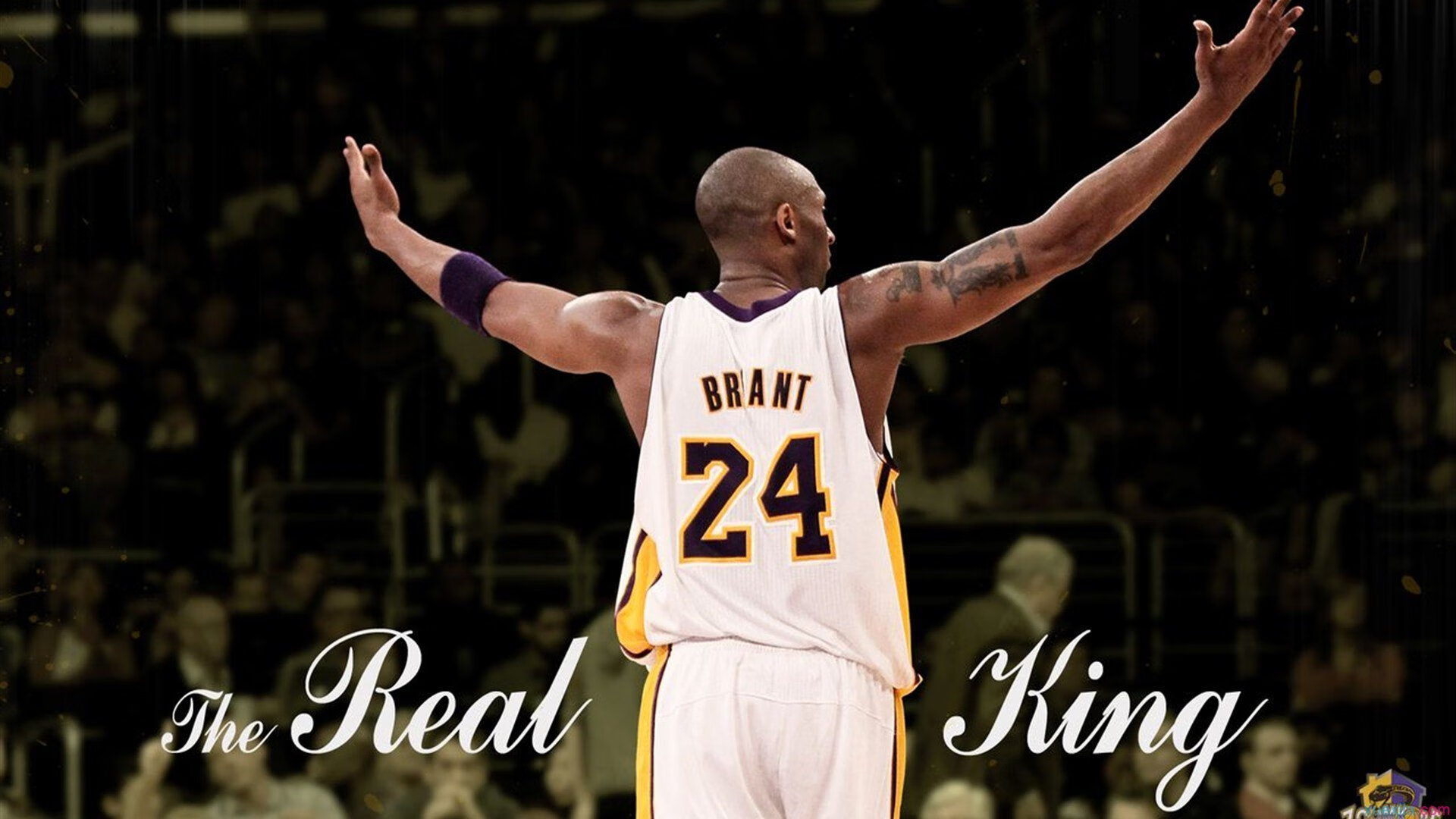 莎拉波娃遭遇五连败，DWG教练面临压力！